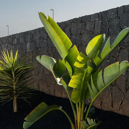 Altos De Lanzarote 别墅 普拉亚布兰卡